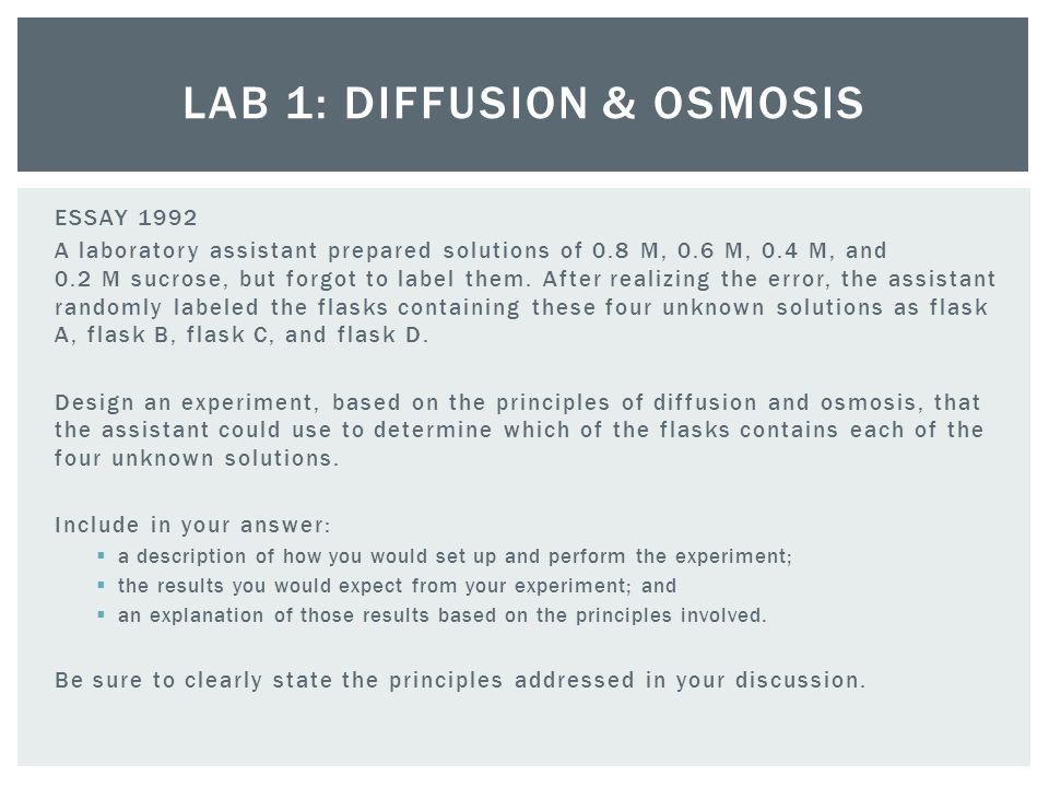 Osmosis diffusion essay